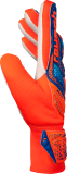 Reusch Attrakt Starter Solid Junior 5572514 2290 blue orange s